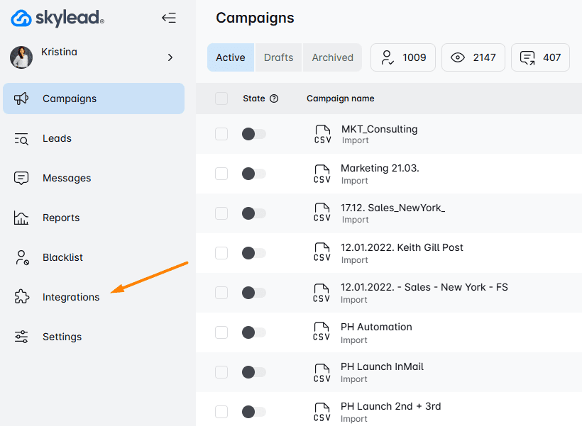 Skylead dashboard image