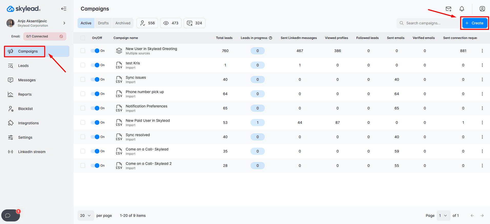 Skylead Sales Navigator campaign 1